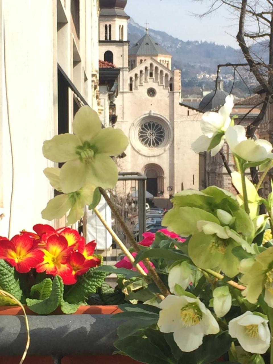 B&B Homer Trento Exterior foto
